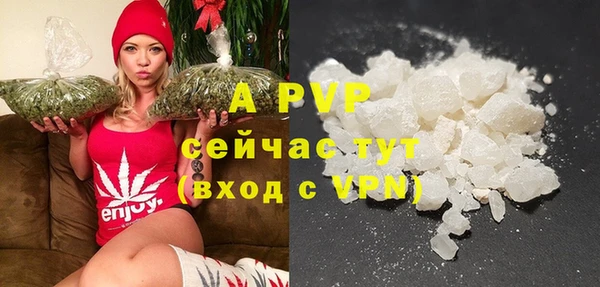 СК Богородск