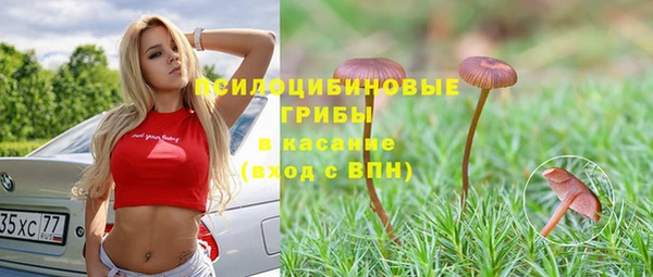 a pvp Богданович