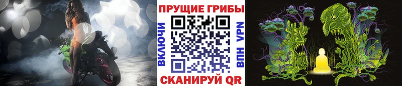 Псилоцибиновые грибы MAGIC MUSHROOMS  площадка формула  Бирск  что такое  